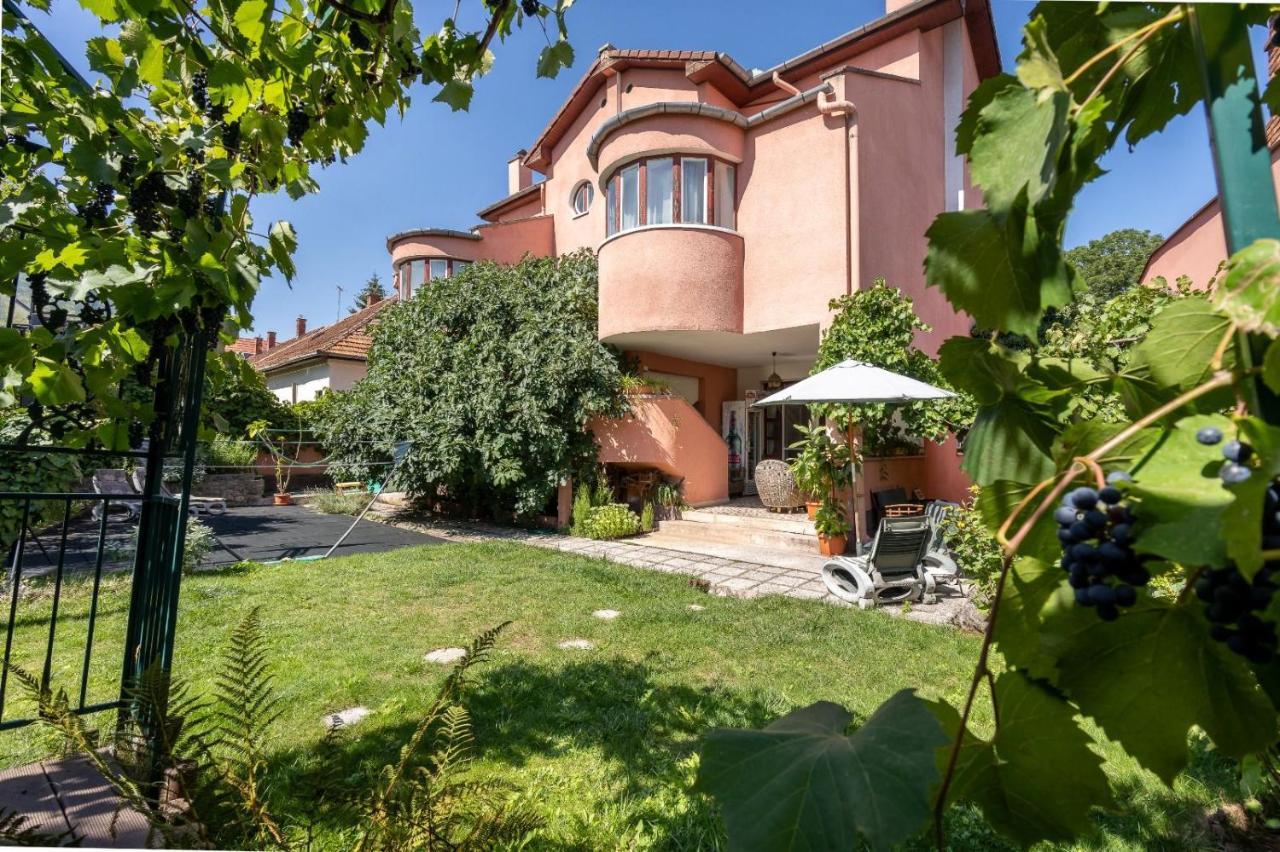 Villa-Hotel Escala Κλουζ-Ναπόκα Εξωτερικό φωτογραφία